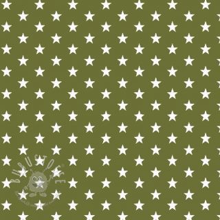 Baumwollstoff Petit stars green