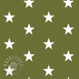 Baumwollstoff Stars green